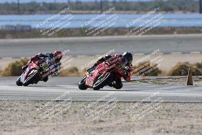 media/Nov-16-2025-Race Pace (Sun) [[8c5fa54630]]/Verified Riders/3-Turn 14 (1045am)/